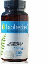Bioherba Vitamin B-2 Витамин 16мг 100 капси