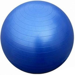 Balls Pilates 55cm in Blue Color