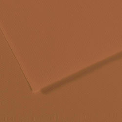 Canson Carton Mi-Teintes A4 Maro