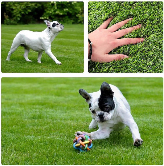 Synthetic Turf in Roll with 2m Width and 25mm Height (price per sq.m)