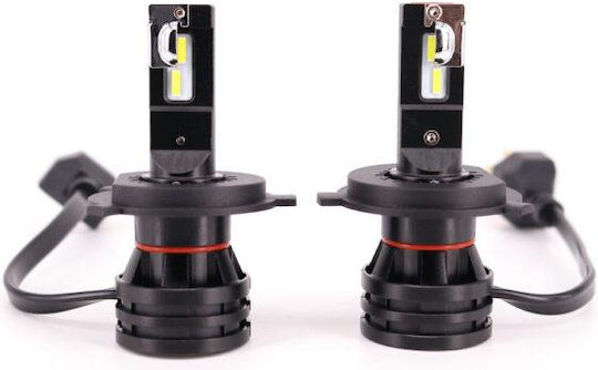Heleco Lamps Car H4 LED 6500K Cold White 12-24V 1pcs