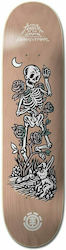 Element Timber Garden Skeleton 8" Skateboard Shortboard Beige