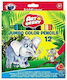 ErichKrause ArtBerry Jumbo Ξυλομπογιές Σετ 12 χρώματα