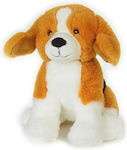 Plush Dog Beagle 22 cm