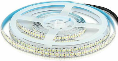 V-TAC LED Streifen Versorgung 12V mit Kaltweiß Licht Länge 5m und 240 LED pro Meter SMD2835