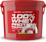 Scitec Nutrition 100% Whey Professional with Added Amino Acids Proteină din Zer Fără gluten cu Aromă de Banană 5kg