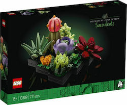 Lego Creator Succulents for 18+ Years Old