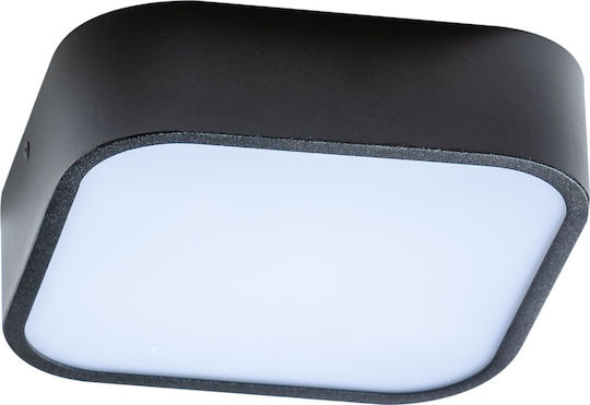 AZzardo Lucie Ceiling Mount Light Bathroom 22cm Black with Socket E27