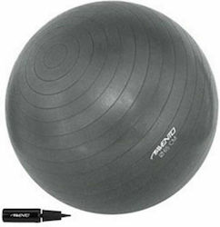 Avento Balls Pilates 65cm in Gray Color