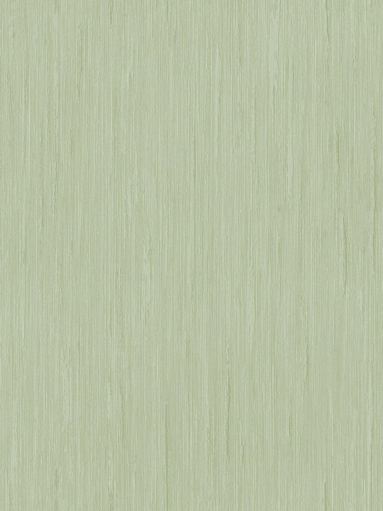 Wallpaper Vinyl Ladi L1005xW53cm