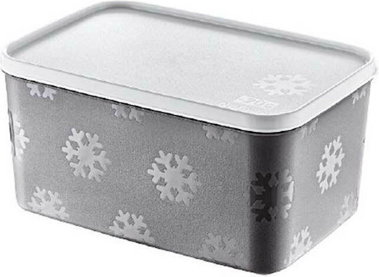 Homeplus Lunchbox Kunststoff Grey 2600ml 1Stück