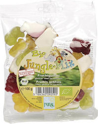 Βιο Αγρός Confectionery Jungle Organic 100gr