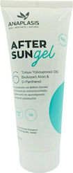 Anaplasis Gel 200ml Anaplasis Gel 200ml