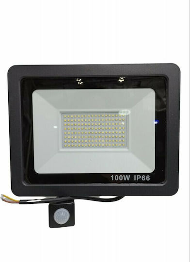 Waterproof LED Flood Light 100W Cold White 6000K with Motion Sensor and Photocell IP66