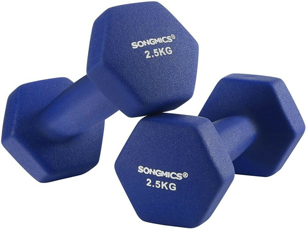 Songmics dumbbells 2025