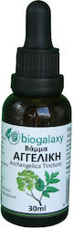 Biogalaxy Tinktur Angelika 30ml Biogalaxy Tinktur Angelika 30ml