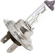Compass Lamps Car H7 Halogen 24V 70W 1pcs