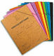 Salko Paper Folder Case with Rubber Band for Paper A4 (Μiscellaneous colours)