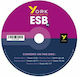 York Practice Tests for Esb B2