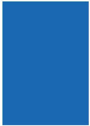 The Littlies Canson Cardboard 50x70cm Blue