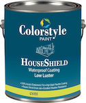 Colorstyle Paint CS 055 Houseshield Plastic Acrilyc Paint for Exterior Use White 10lt