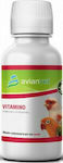 Avianvet Vitamino Multivitamins for Birds 100ml