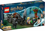 Lego Harry Potter Hogwarts Carriage Thest pentru 7+ ani