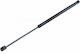 1321021 Car Trunk Shock for Ford Focus