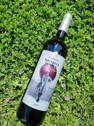 Orealios Gaea Nouvelle Epoque Red Dry 750ml Orealios Gaea Nouvelle Epoque Red Dry 750ml