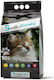 Bentysandy Bentonite Cat Litter 10lt