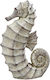 Espiel Decorative Seahorse made of Concrete Hippocampus in Beige 19x8x28cm 1pcs
