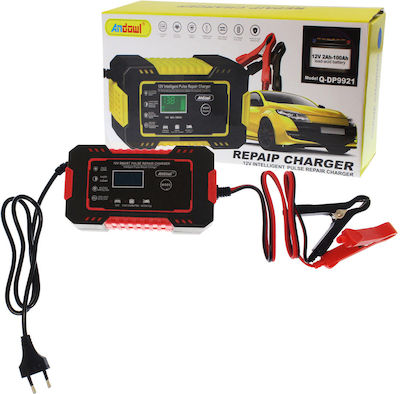 Andowl Car Battery Charger 12V