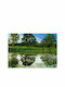 Fototapet de Perete 400x280cm The Magic Pond Tesatura