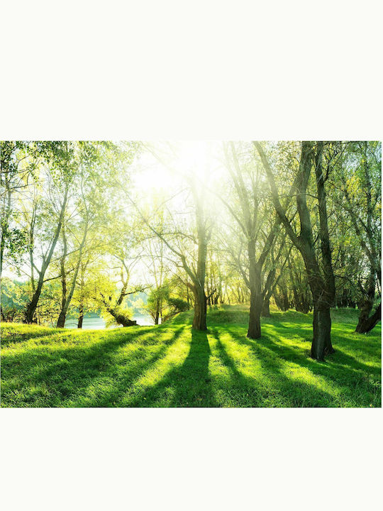 Self-adhesive Wall Mural Sunny May Day 196x140cm