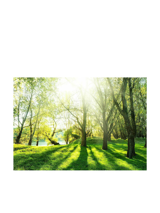 Fototapet de Perete 150x105cm Sunny May Day Tesatura