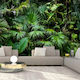 Fototapet de Perete 300x210cm Sunny Jungle Tesatura