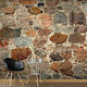 Fototapet de Perete 100x70cm Stony Artistry Tesatura