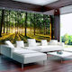 Fototapet de Perete 250x175cm Spring: Morning in the Forest Tesatura