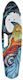Factory 6.7" Complet Placa Penny Multicolor