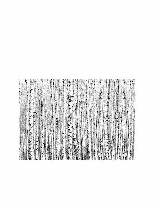 Fototapet de Perete 300x210cm Birch forest Tesatura