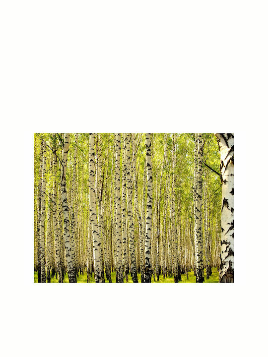 Fototapet de Perete 200x154cm Birch forest Tesatura