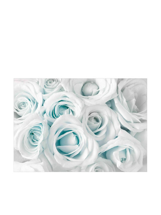 Autocolantă Fototapet de Perete 98x70cm Satin Rose (Turquoise) Albă