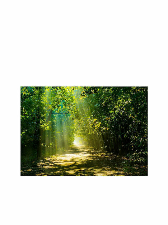 Fototapet de Perete 150x105cm Road in Sunlight Tesatura