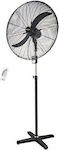 Primo Commercial Stand Fan with Remote Control 140W 50cm with Remote Control PRSF-80514