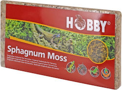 Hobby Aquaristik Spaghnum Moss Wooden Substrate for Reptiles Terrarium 100gr