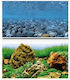 Wave Double Background Vision Aquarium Dekoration Poster