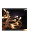 480 Lights LED 3m. x 300cm Warm White type Curtain 1pcs