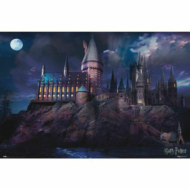 Harry Potter 20 Years of Movie Magic Poster 61x91.5cm