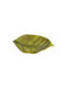 Etoile Platou Decorativ Ceramică Verde 1buc 30x20buc