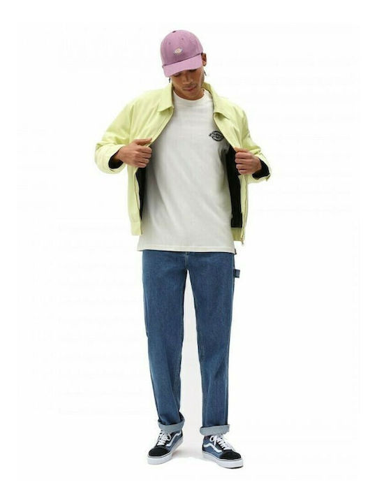 Dickies Dickies